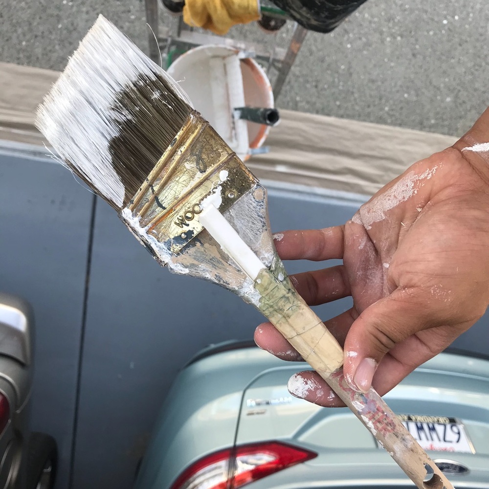 Brush